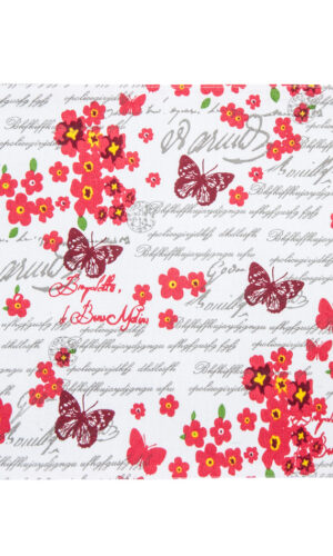 Prestieranie Butterfly